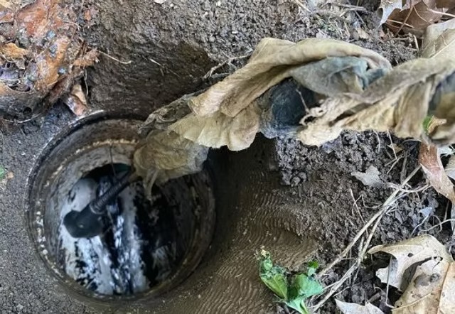 imgi_1_drain cleaning