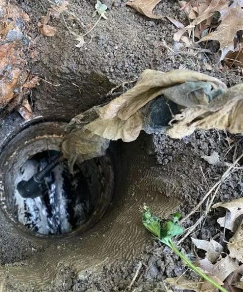 Commercial Drain Cleaning