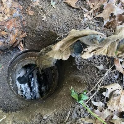 imgi_60_26f031_03962156181b40b681acc6c9223c8832~mv2